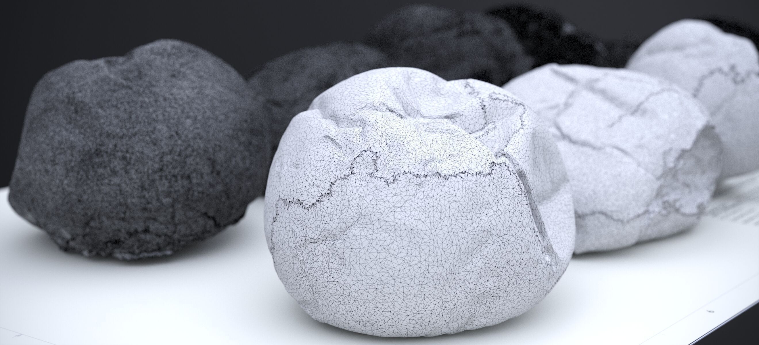 HARD ROLLS 2024 3D model_27