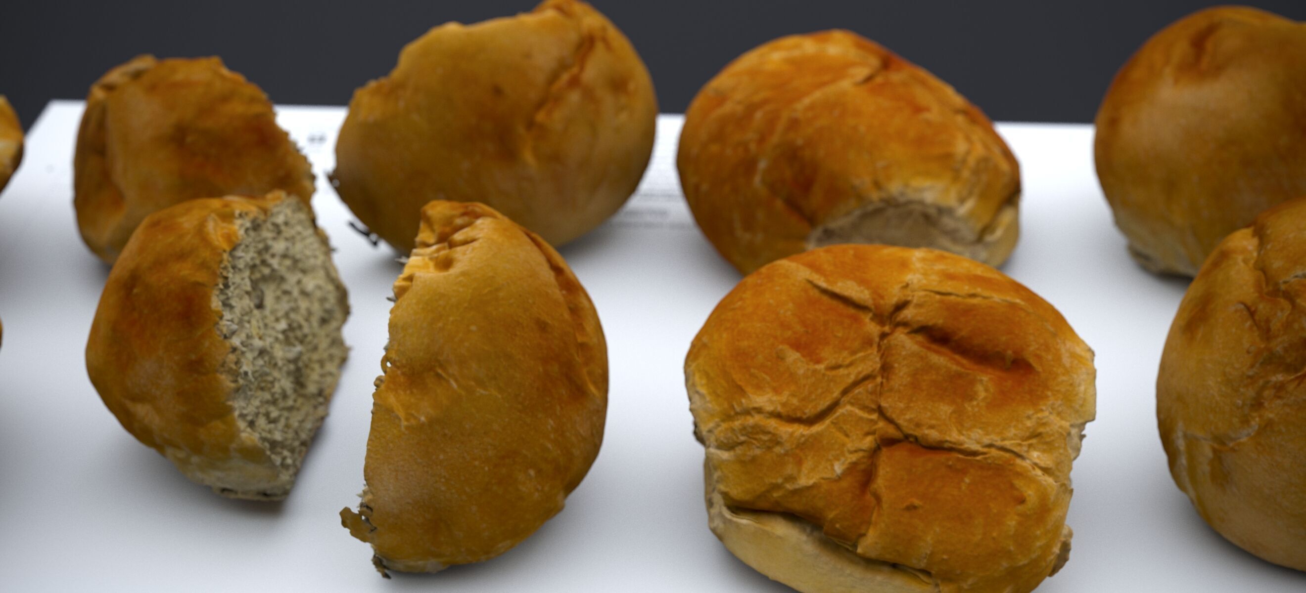 HARD ROLLS 2024 3D model_9