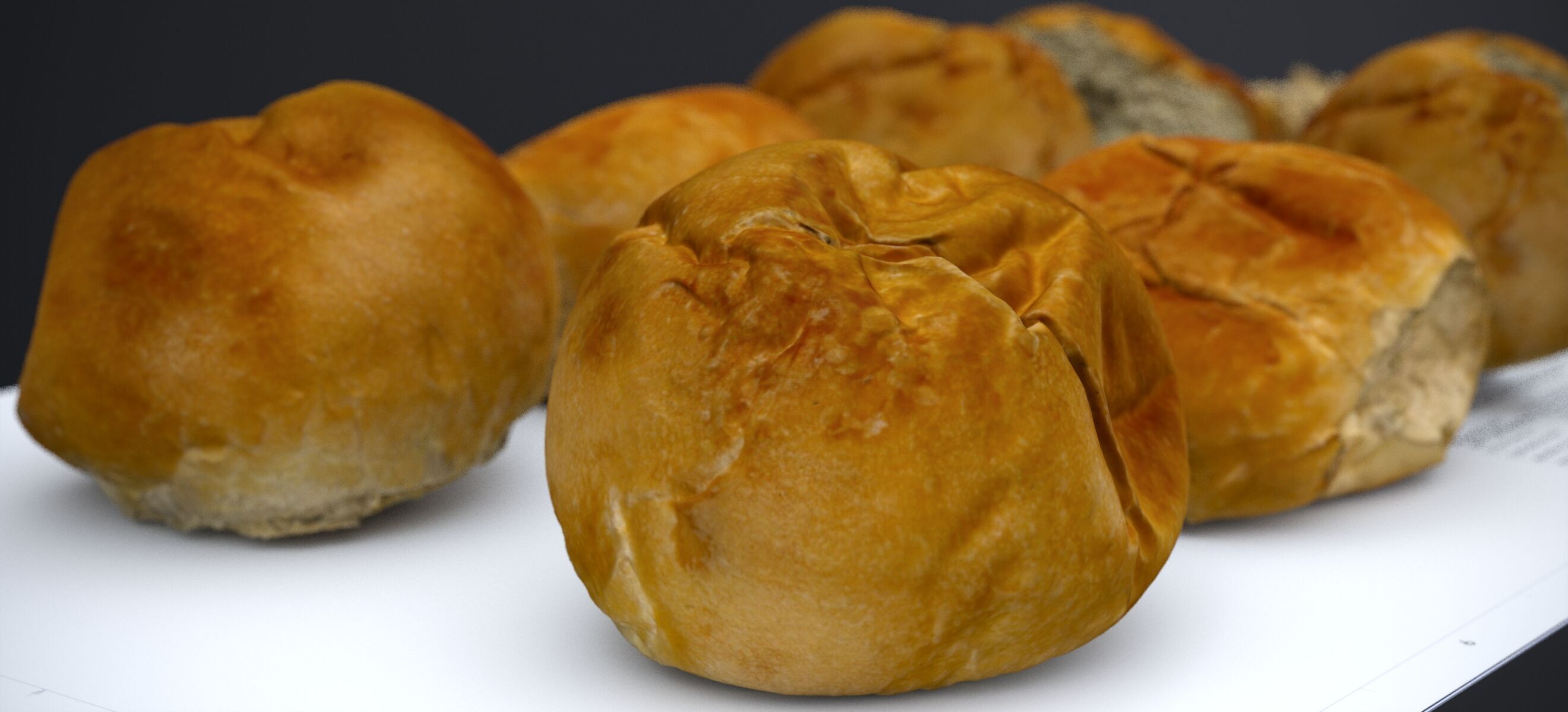 HARD ROLLS 2024 3D model_11