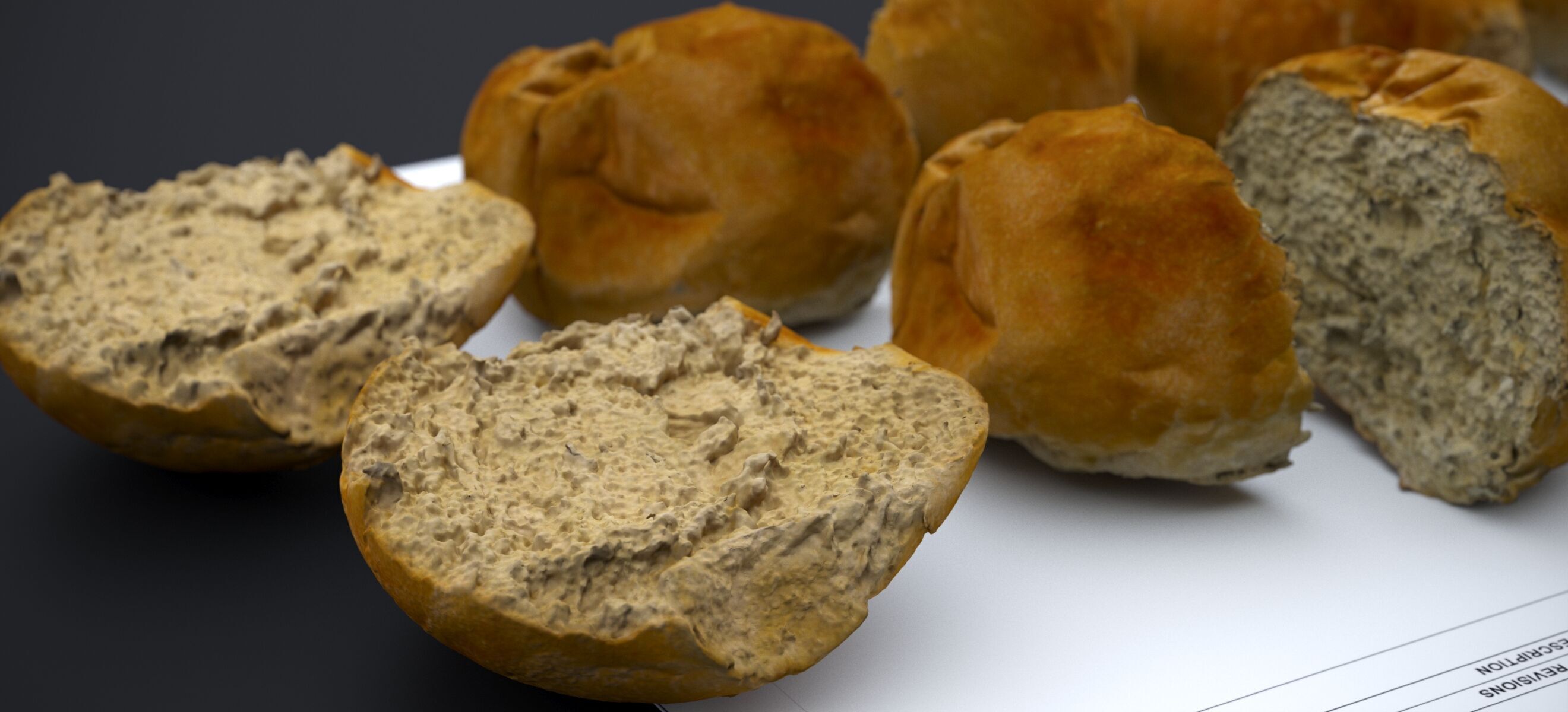 HARD ROLLS 2024 3D model_7