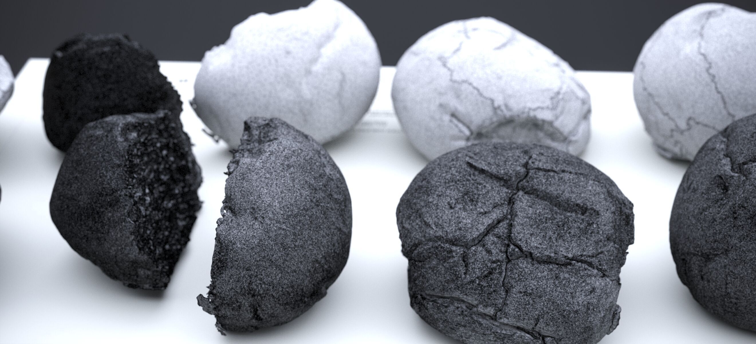 HARD ROLLS 2024 3D model_25