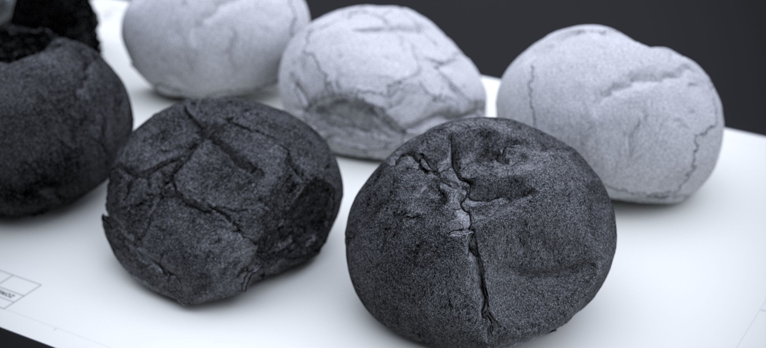 HARD ROLLS 2024 3D model_26