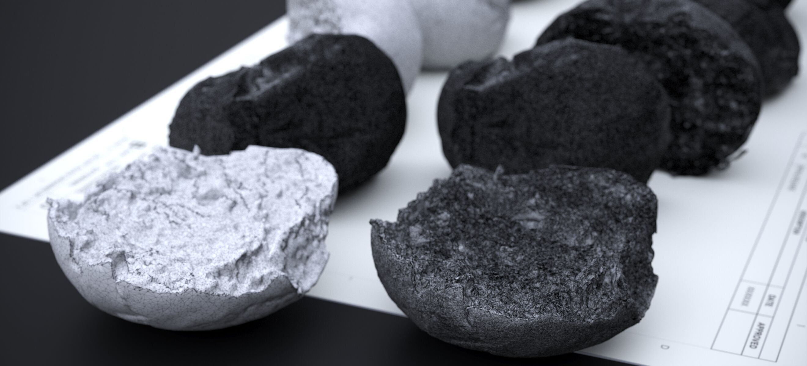 HARD ROLLS 2024 3D model_22