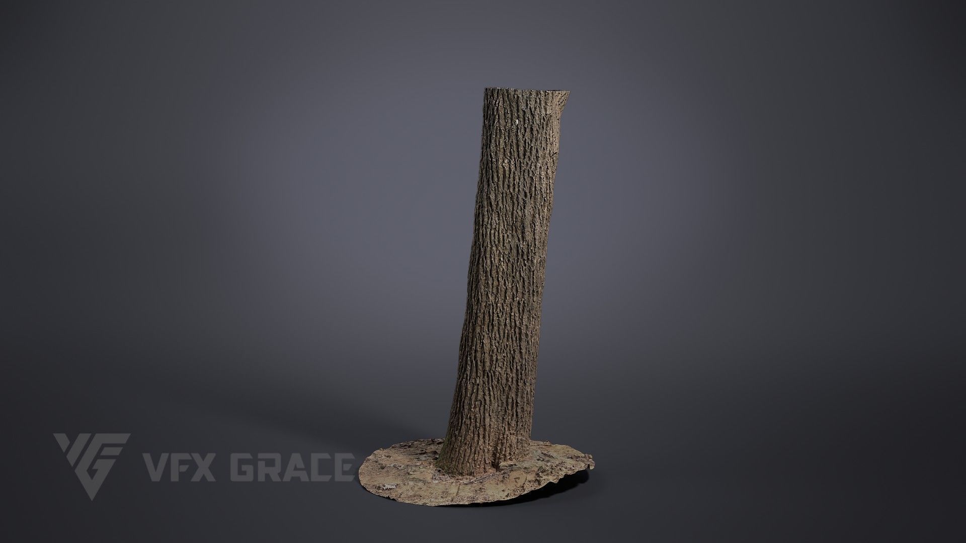 Apricot tree 001 3D model_1