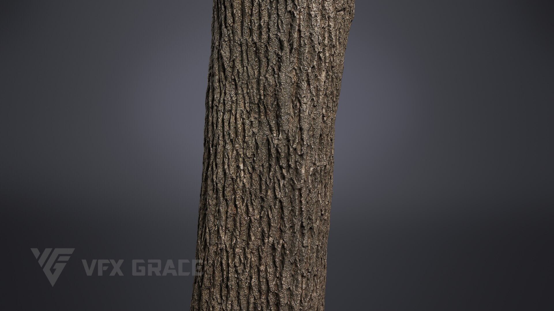 Apricot tree 001 3D model_4