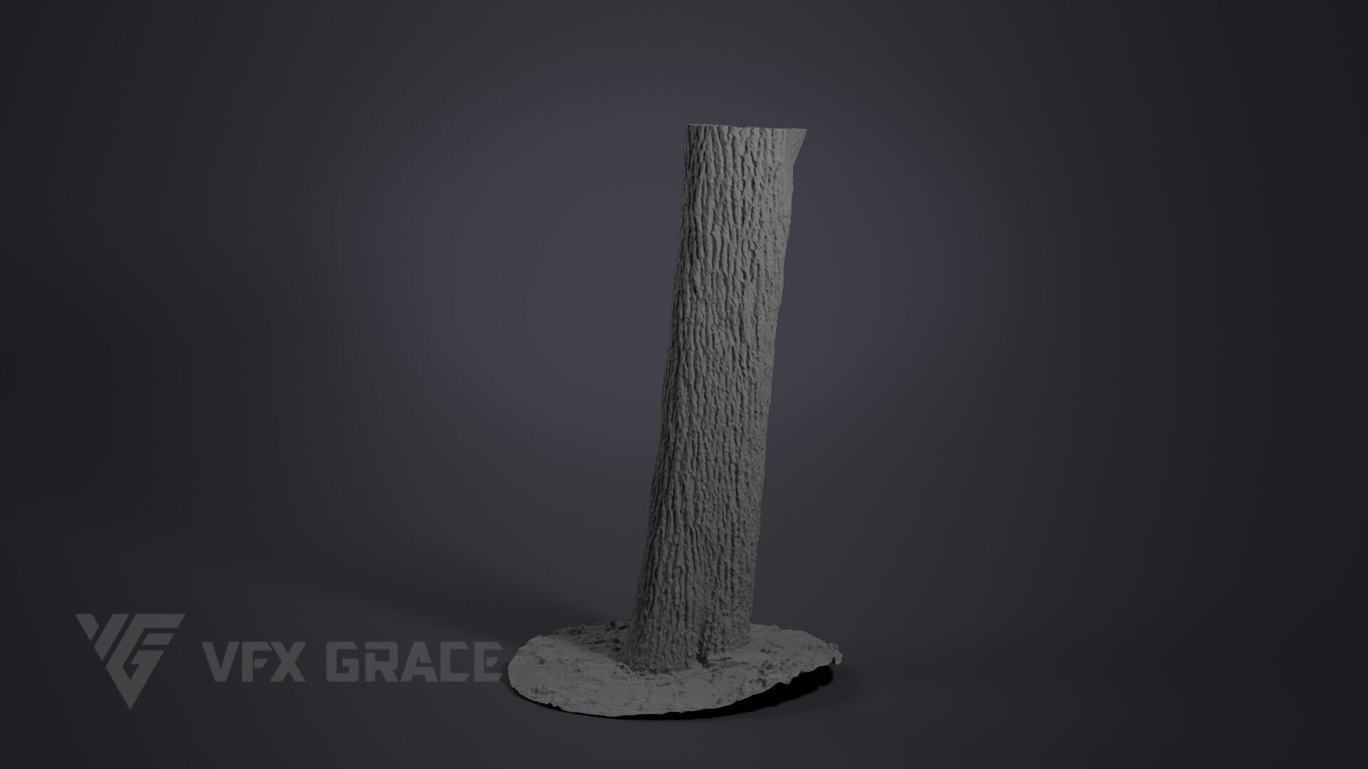 Apricot tree 001 3D model_5