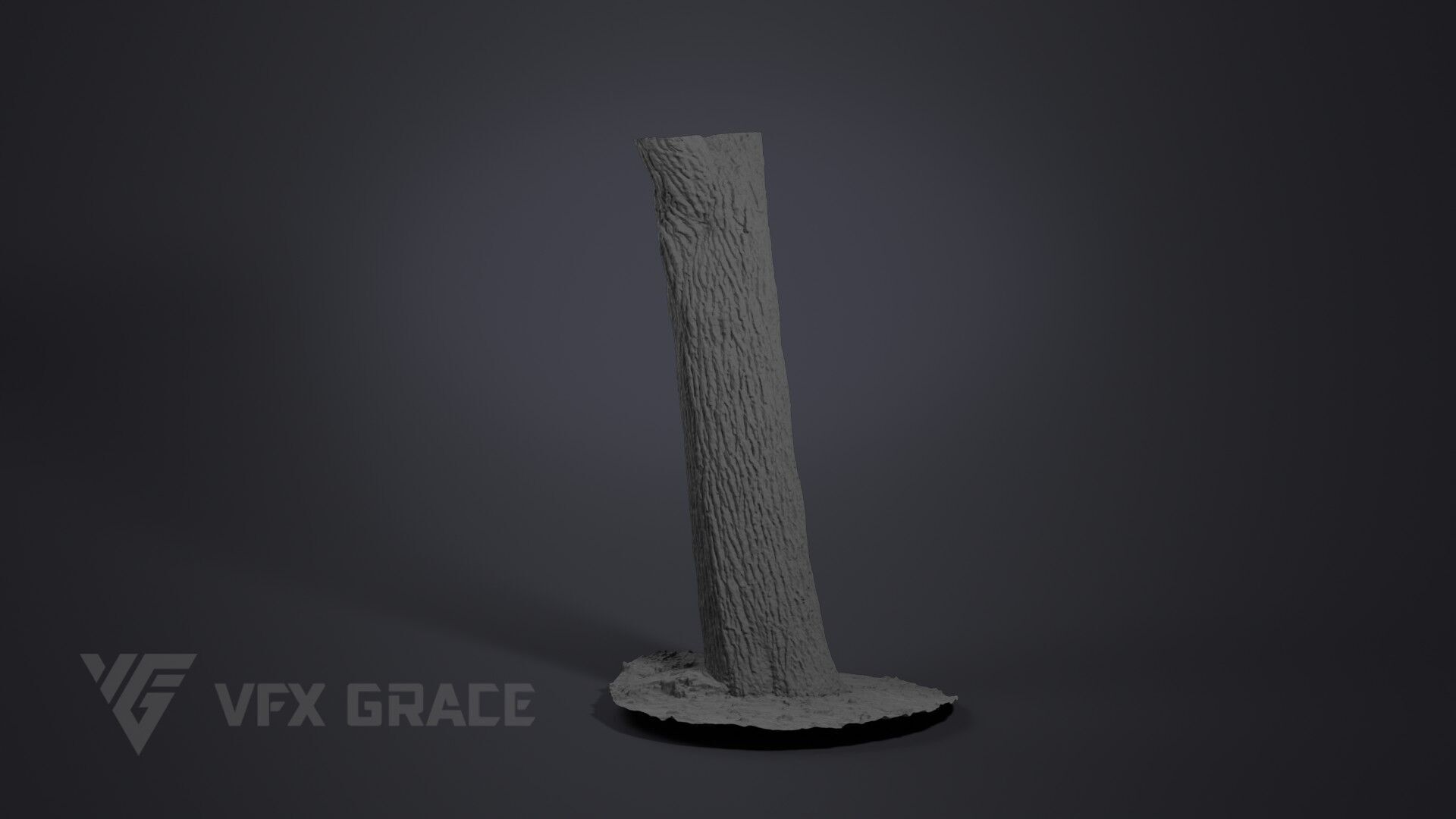 Apricot tree 001 3D model_7