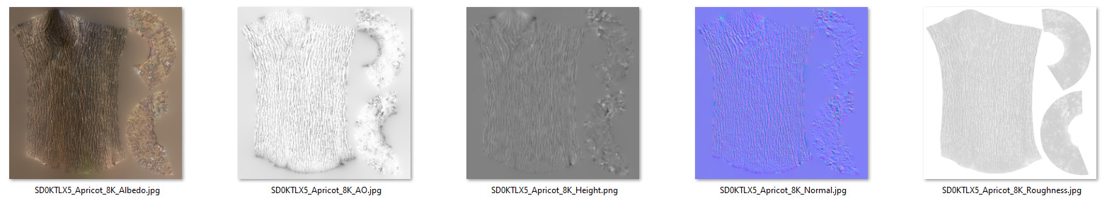 Apricot tree 001 3D model_9