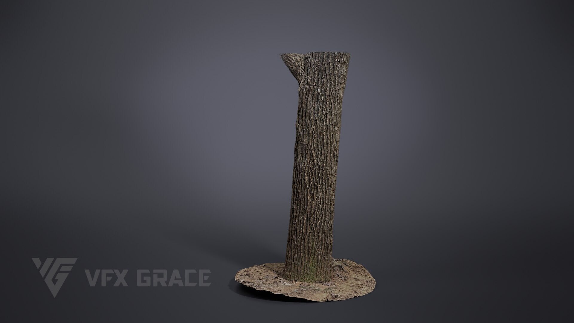 Apricot tree 001 3D model_2