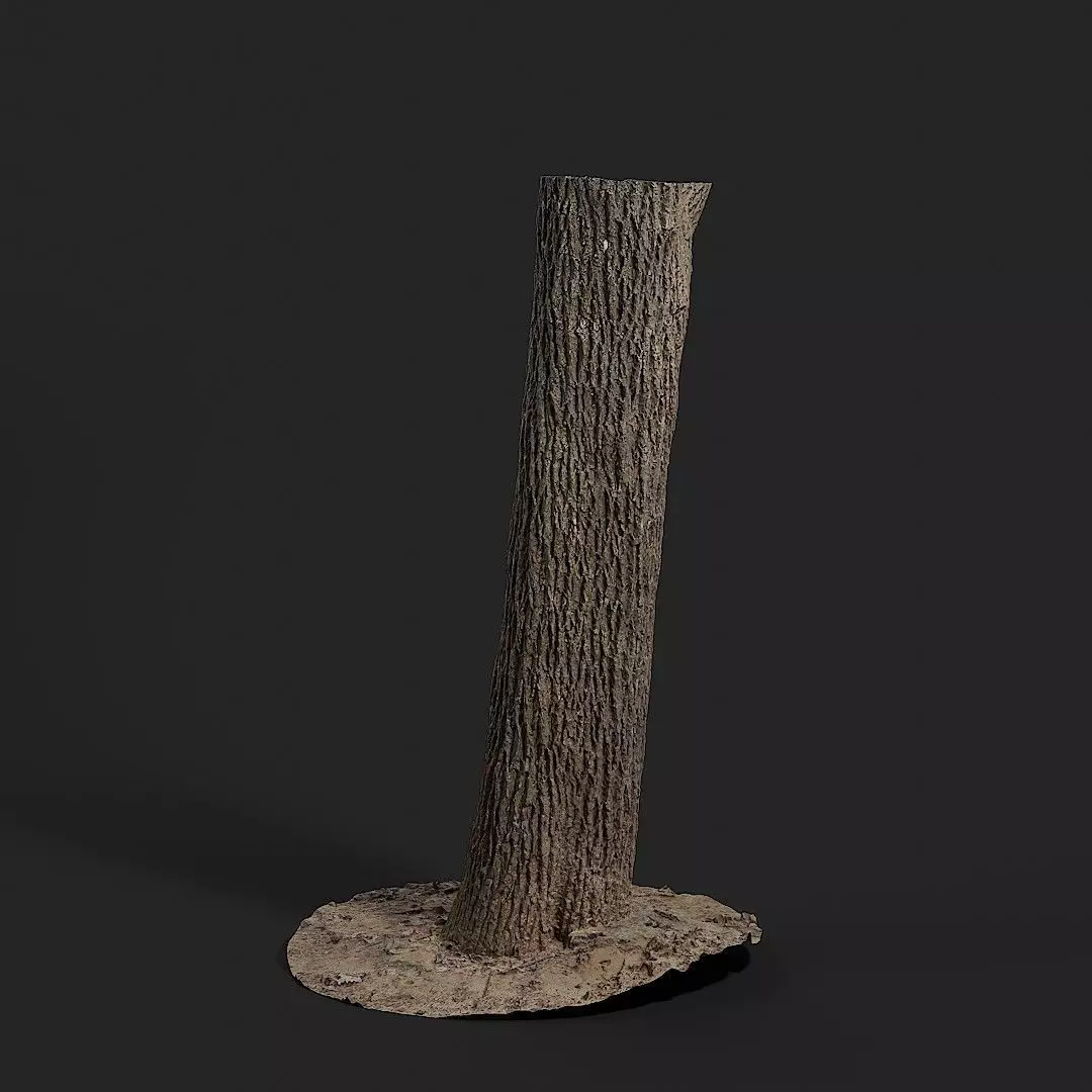 Apricot tree 001 3D model_0