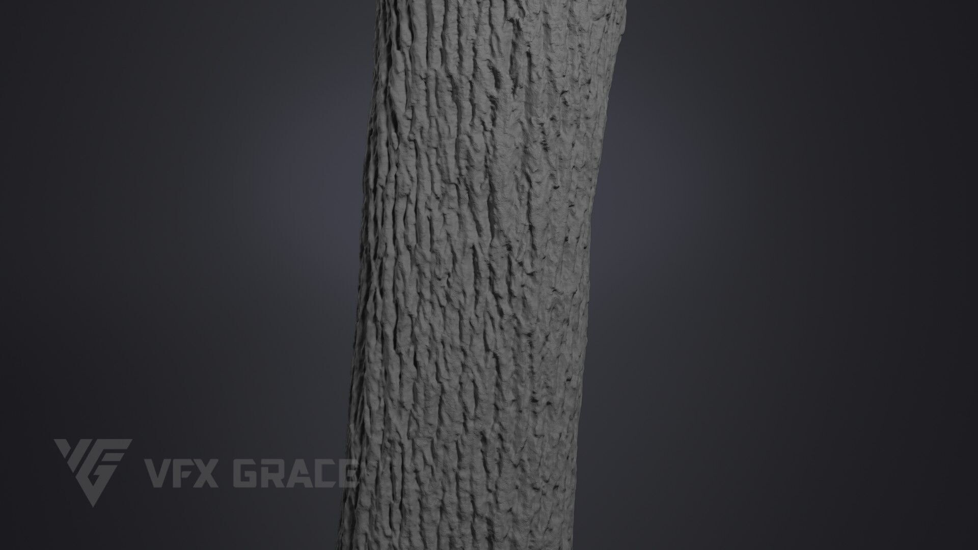 Apricot tree 001 3D model_8