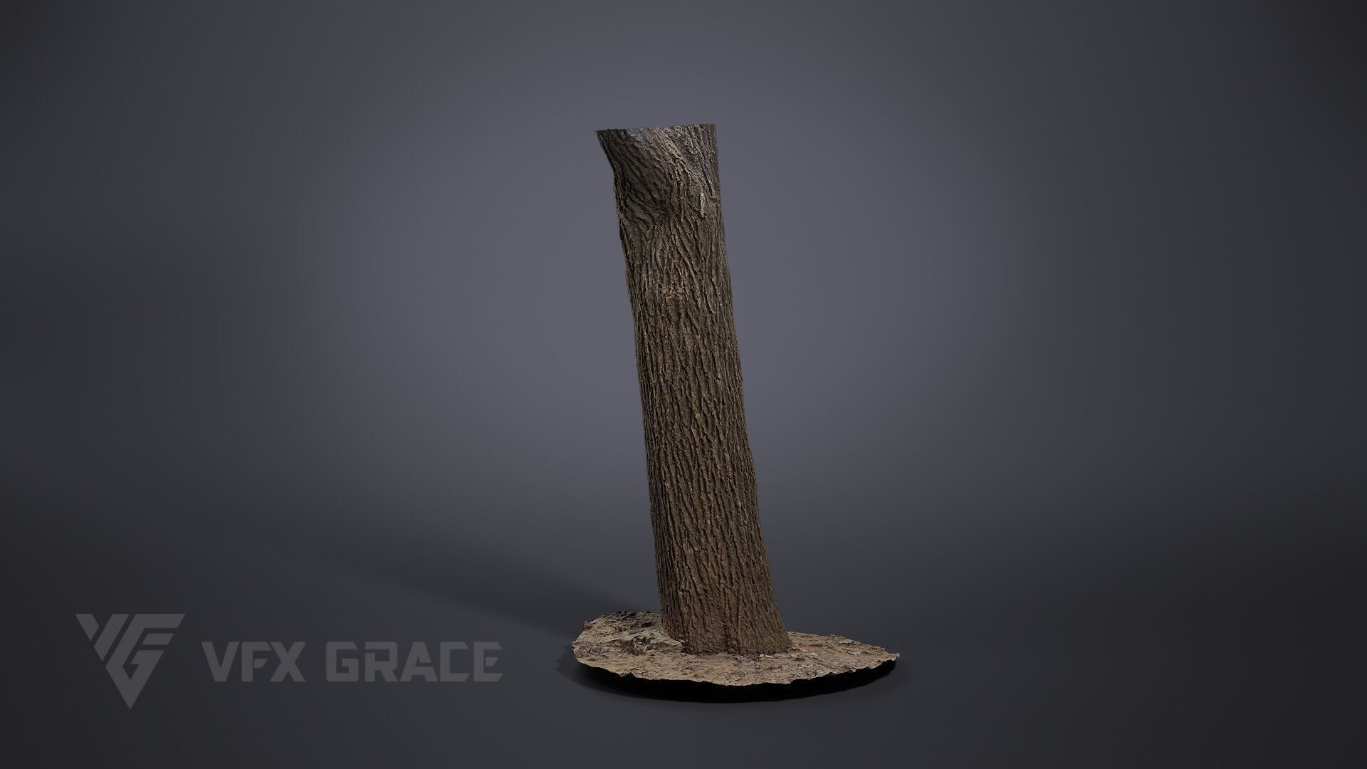 Apricot tree 001 3D model_3