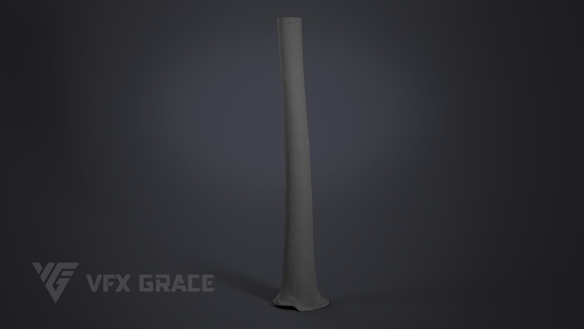 Albizia Tree 3D model_6