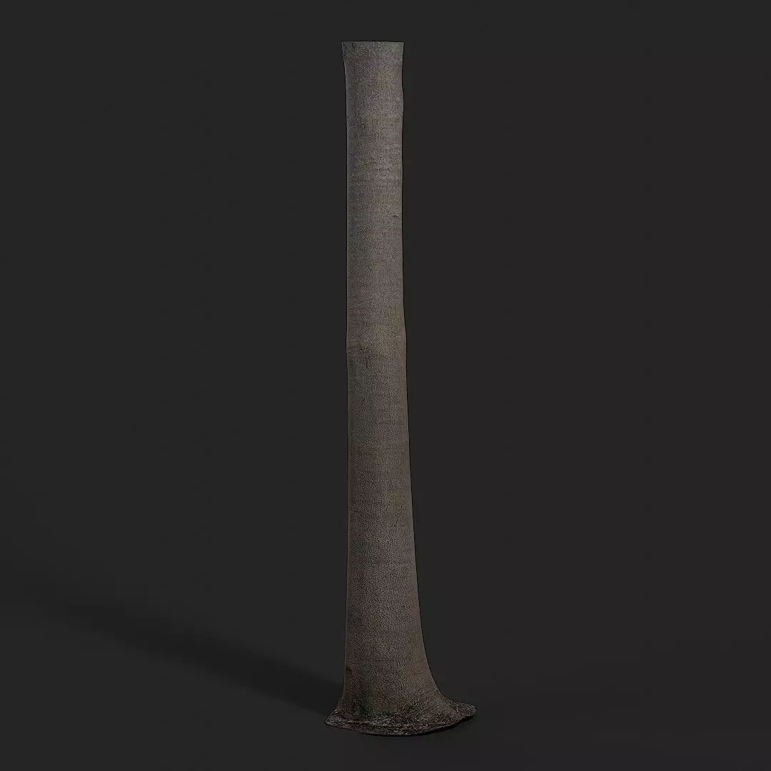 Albizia Tree 3D model_0