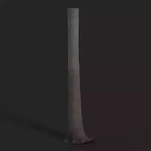 Albizia Tree 3D model