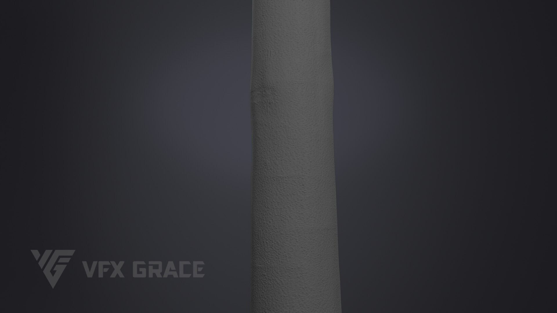 Albizia Tree 3D model_8