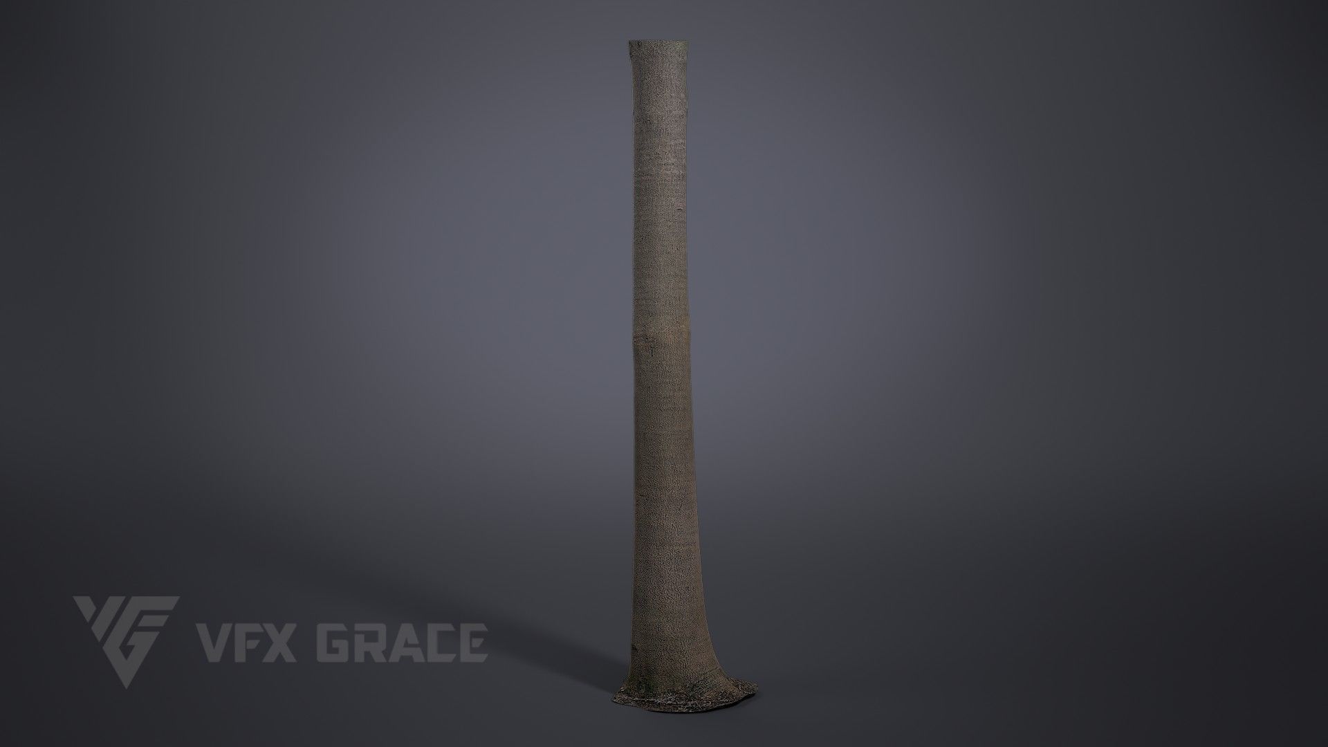 Albizia Tree 3D model_1