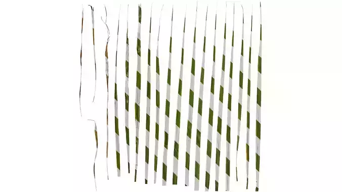 Anydrafts Cymbopogon citratus Leaf 01