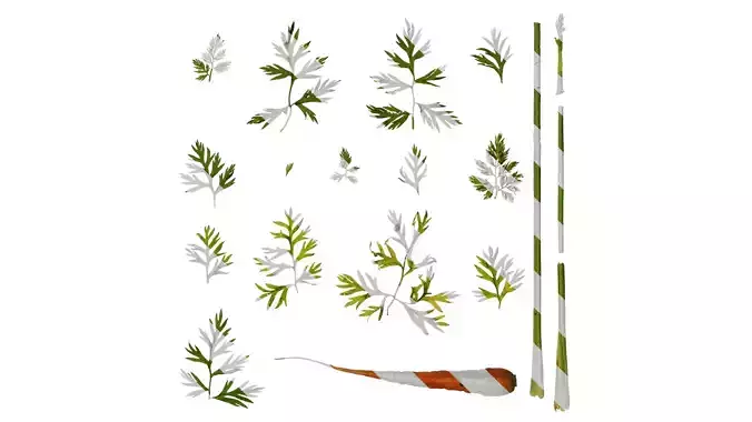 Anydrafts Daucus carota sativus Atlas 04 Texture