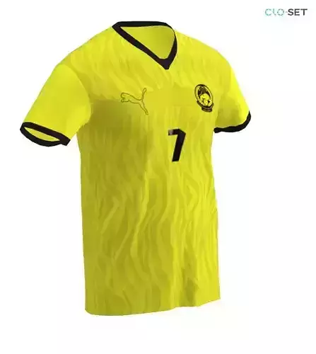 Malaysia Home Football Team