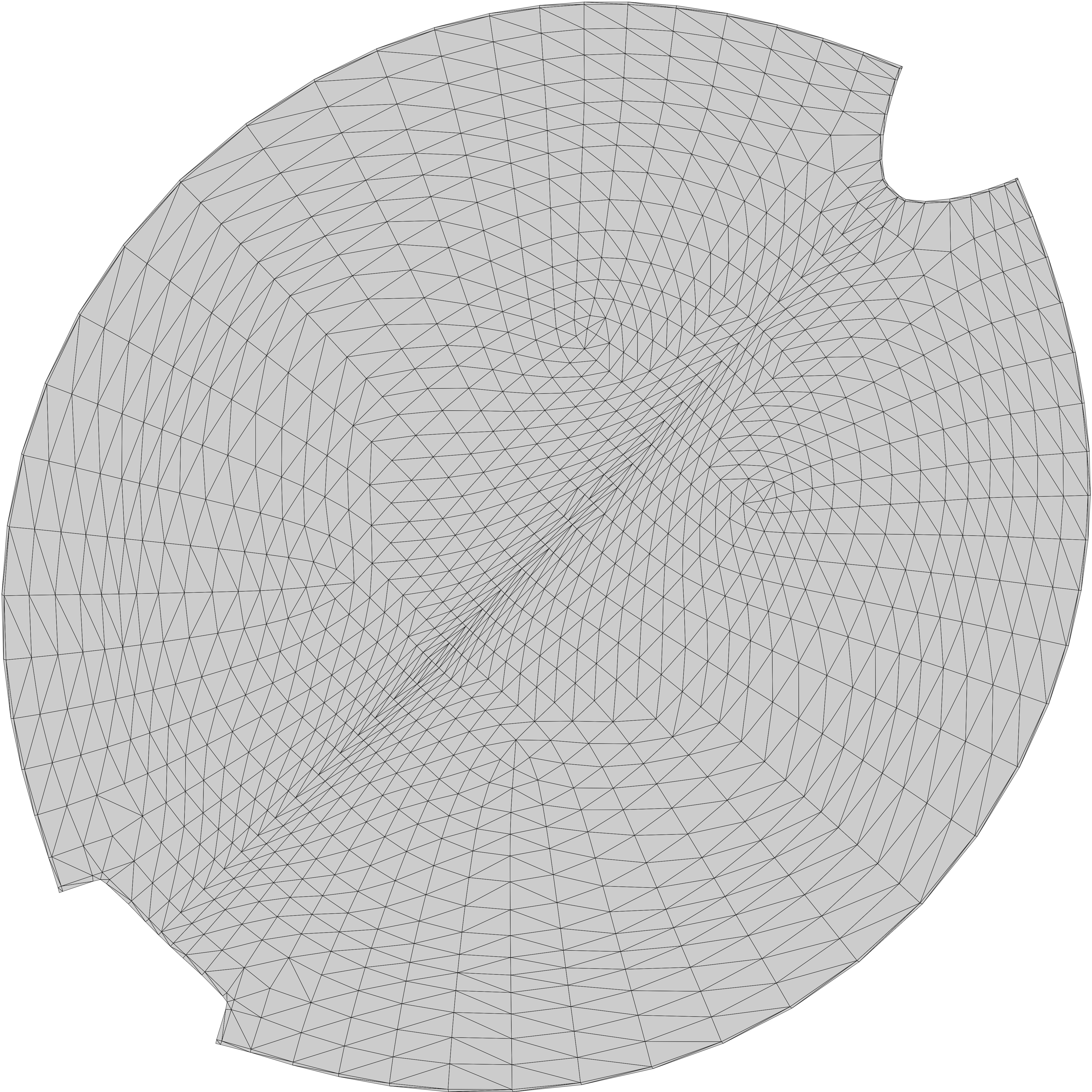 Baglama Low-poly 3D model_37