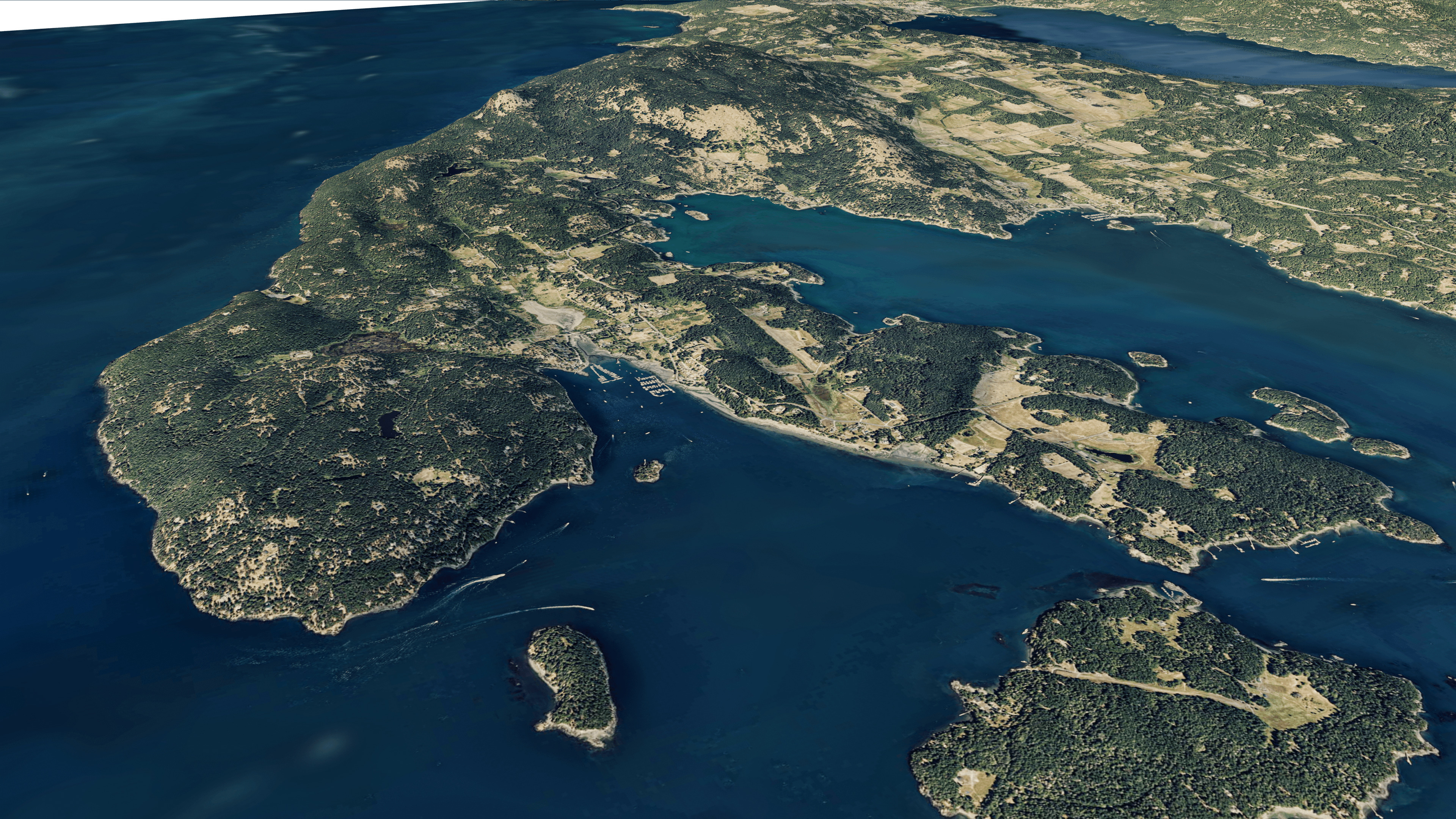Orcas island 3d model terrain 3D model_7
