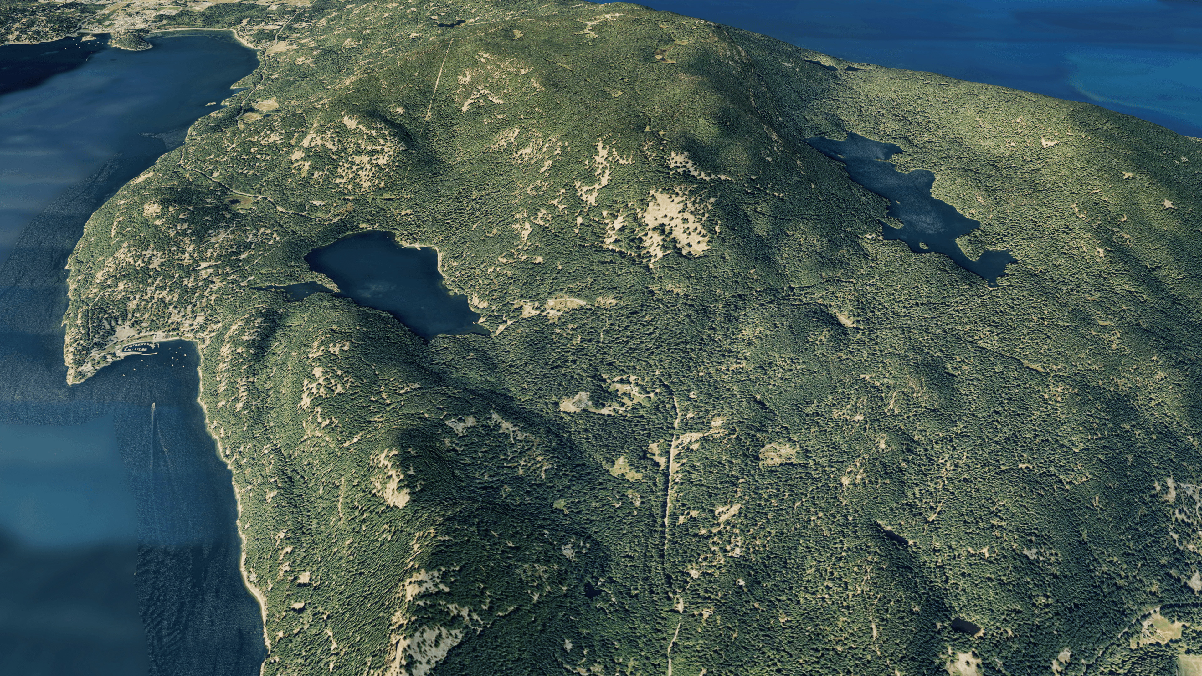 Orcas island 3d model terrain 3D model_14