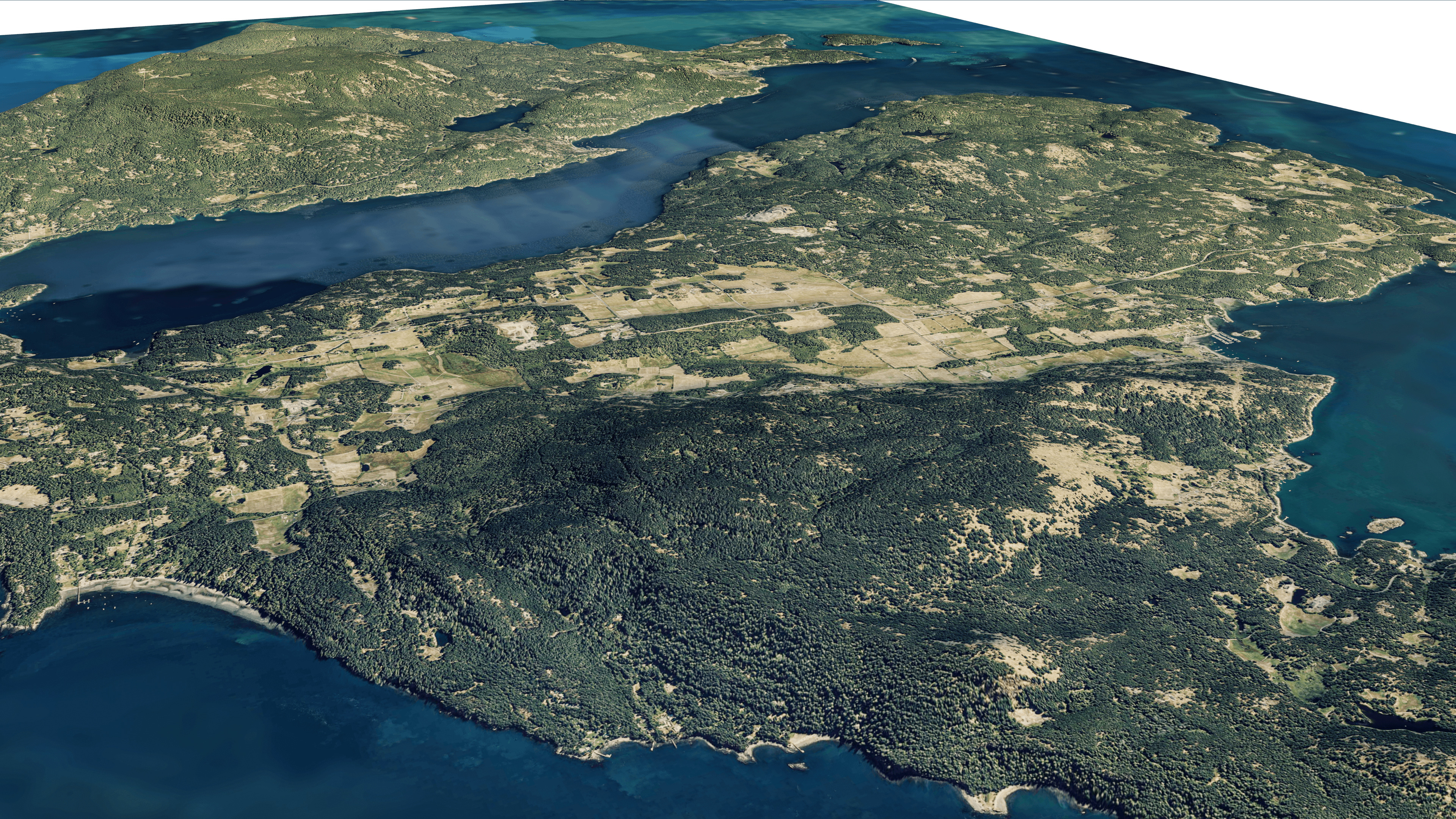 Orcas island 3d model terrain 3D model_12