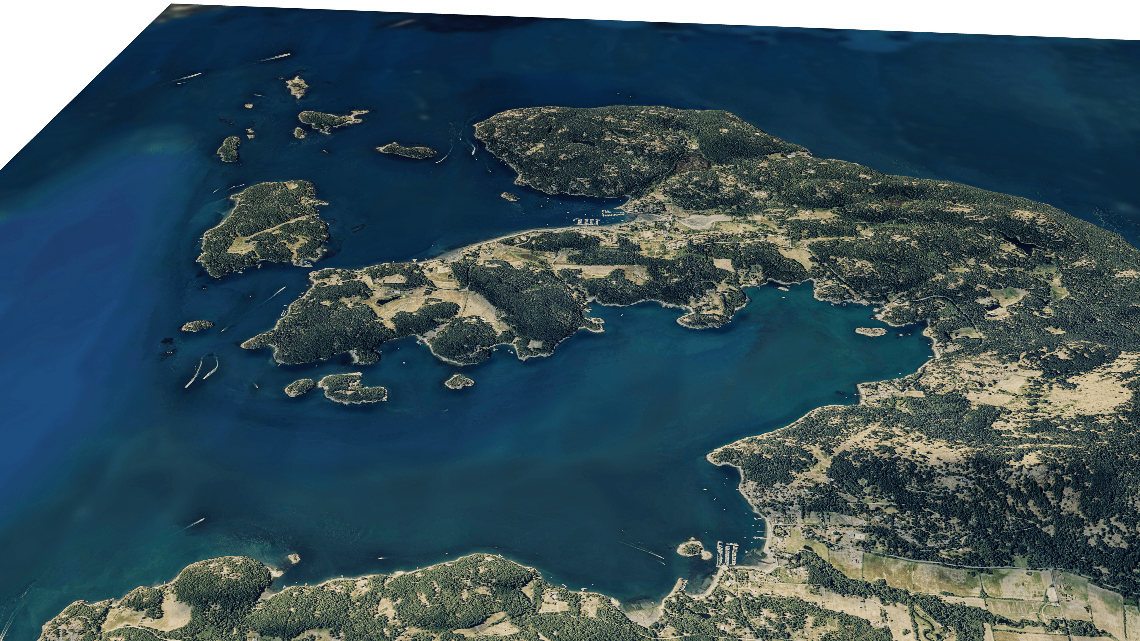 Orcas island 3d model terrain 3D model_9