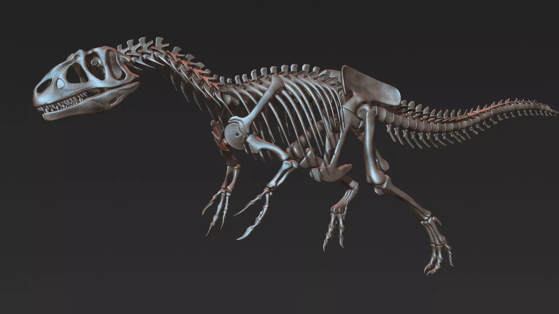 Allosaurus skeleton model Low-poly 3D model_0