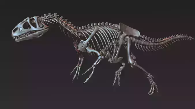 Allosaurus skeleton model