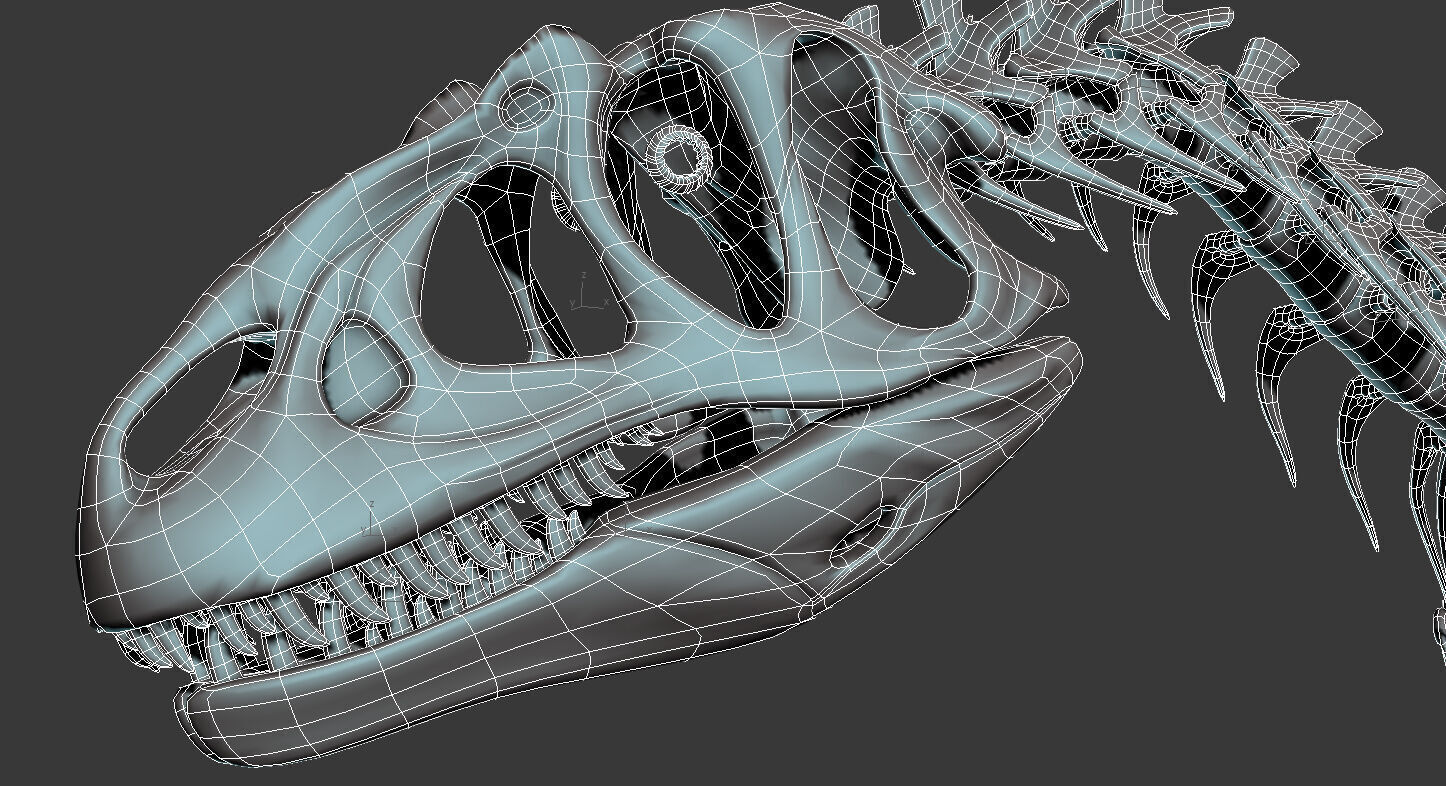 Allosaurus skeleton model Low-poly 3D model_7
