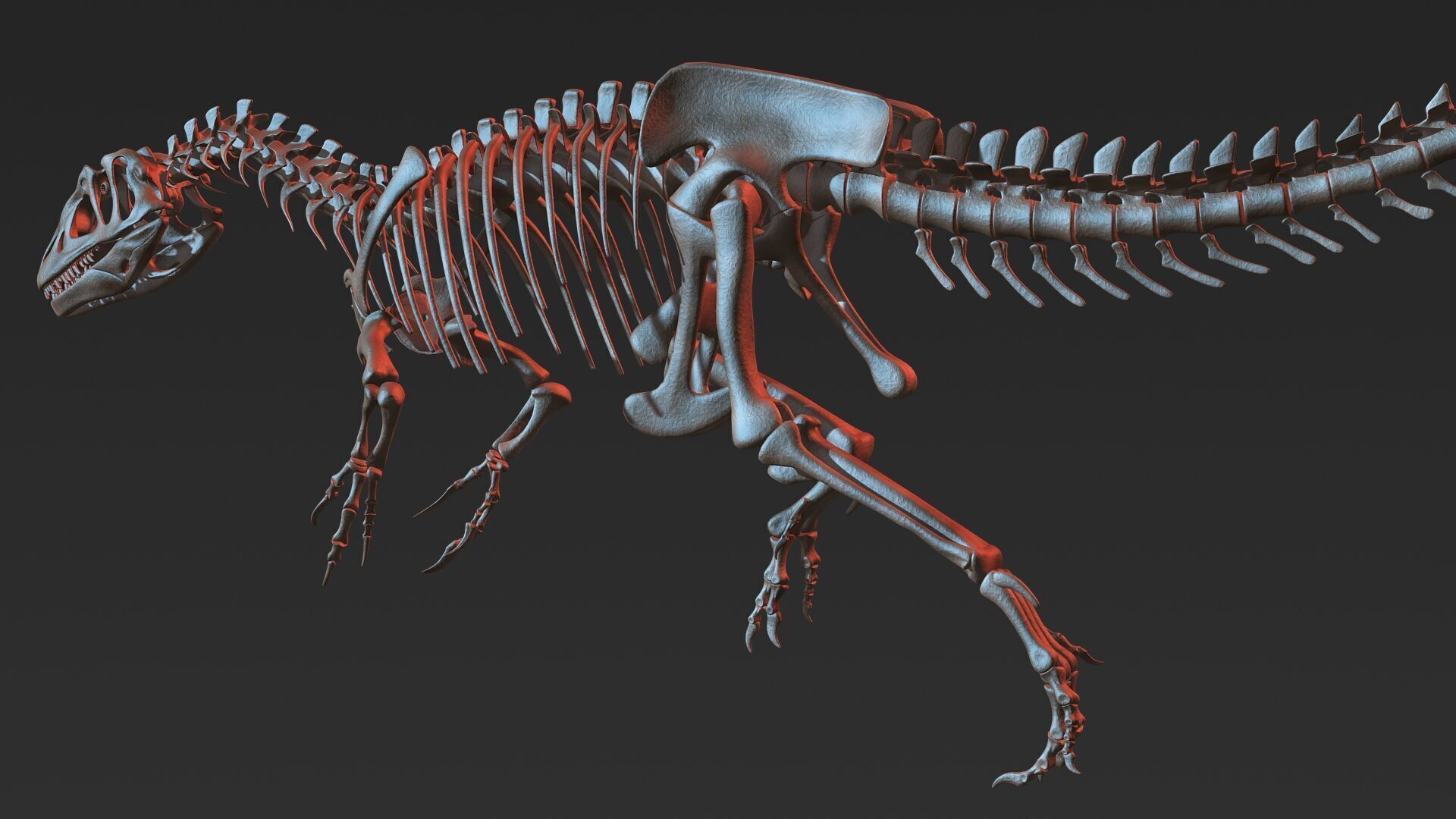 Allosaurus skeleton model Low-poly 3D model_1