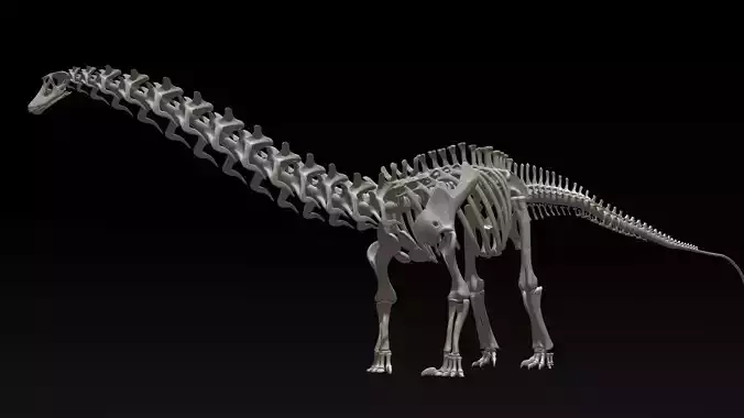 3D Diplodocus Skeleton Low-poly 3D model