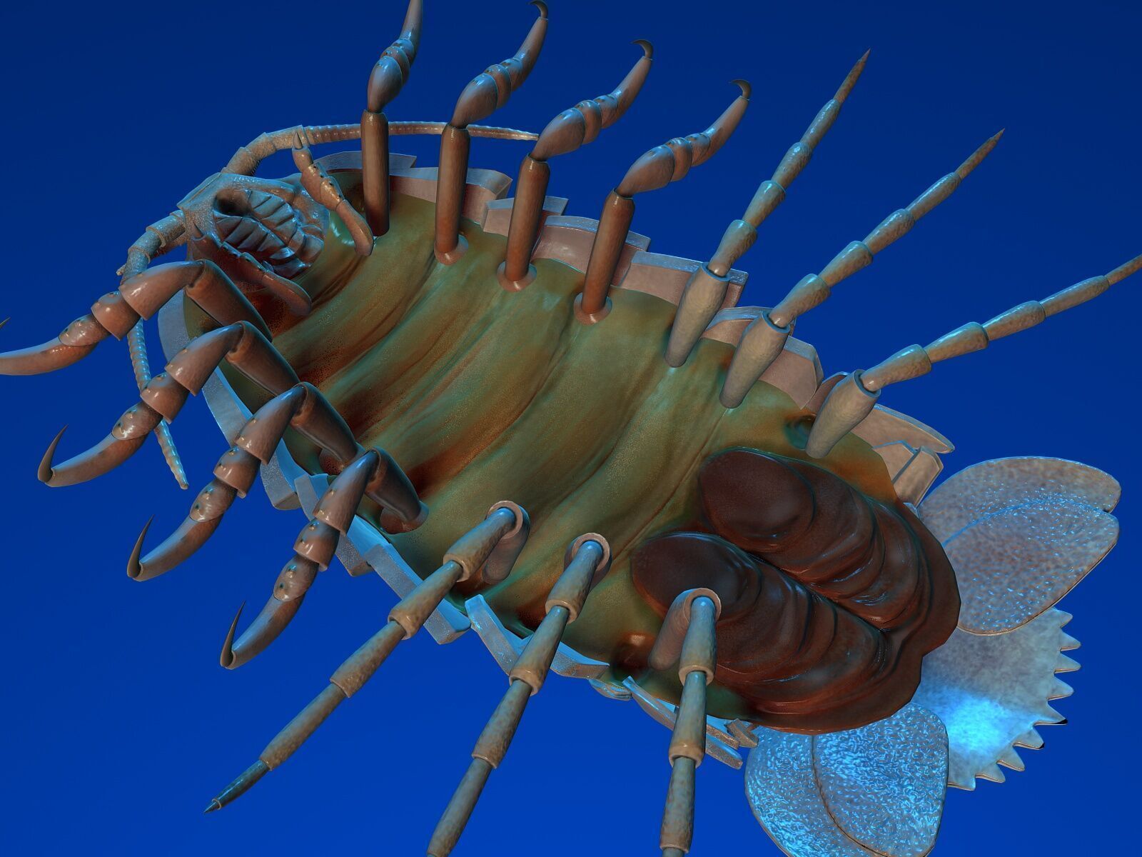 isopod 3D model_2