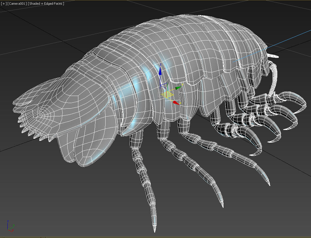 isopod 3D model_5