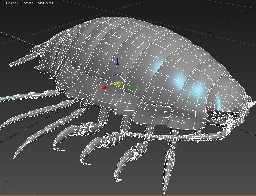 isopod 3D model_4