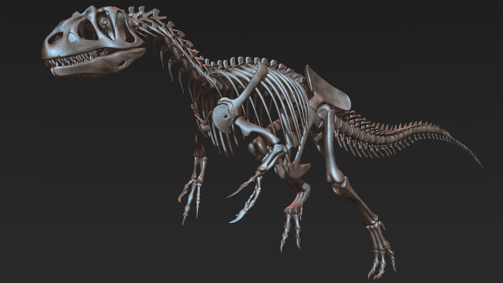 20 in1 Dino skeleton Collection model 3D model_109