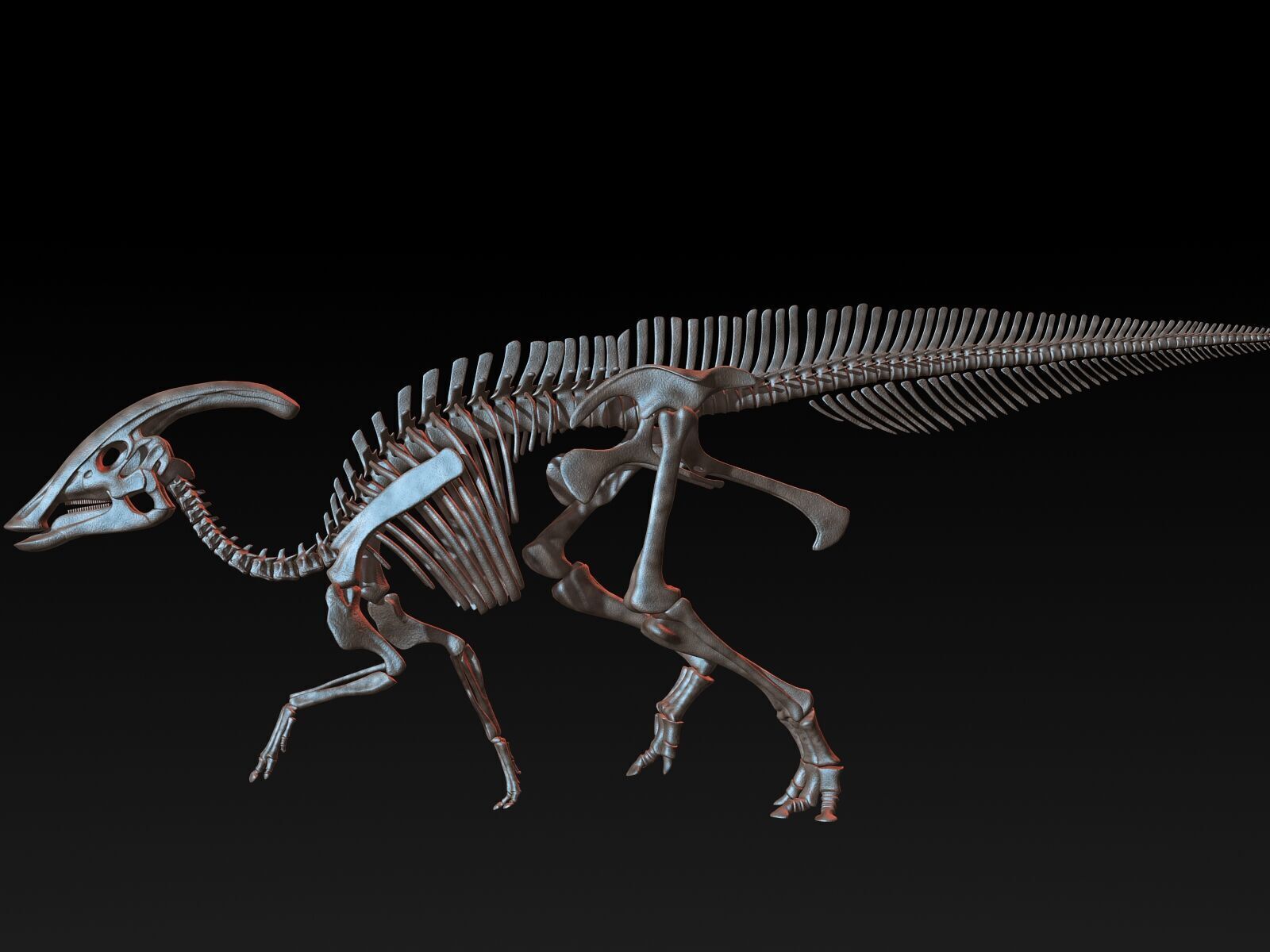 20 in1 Dino skeleton Collection model 3D model_104