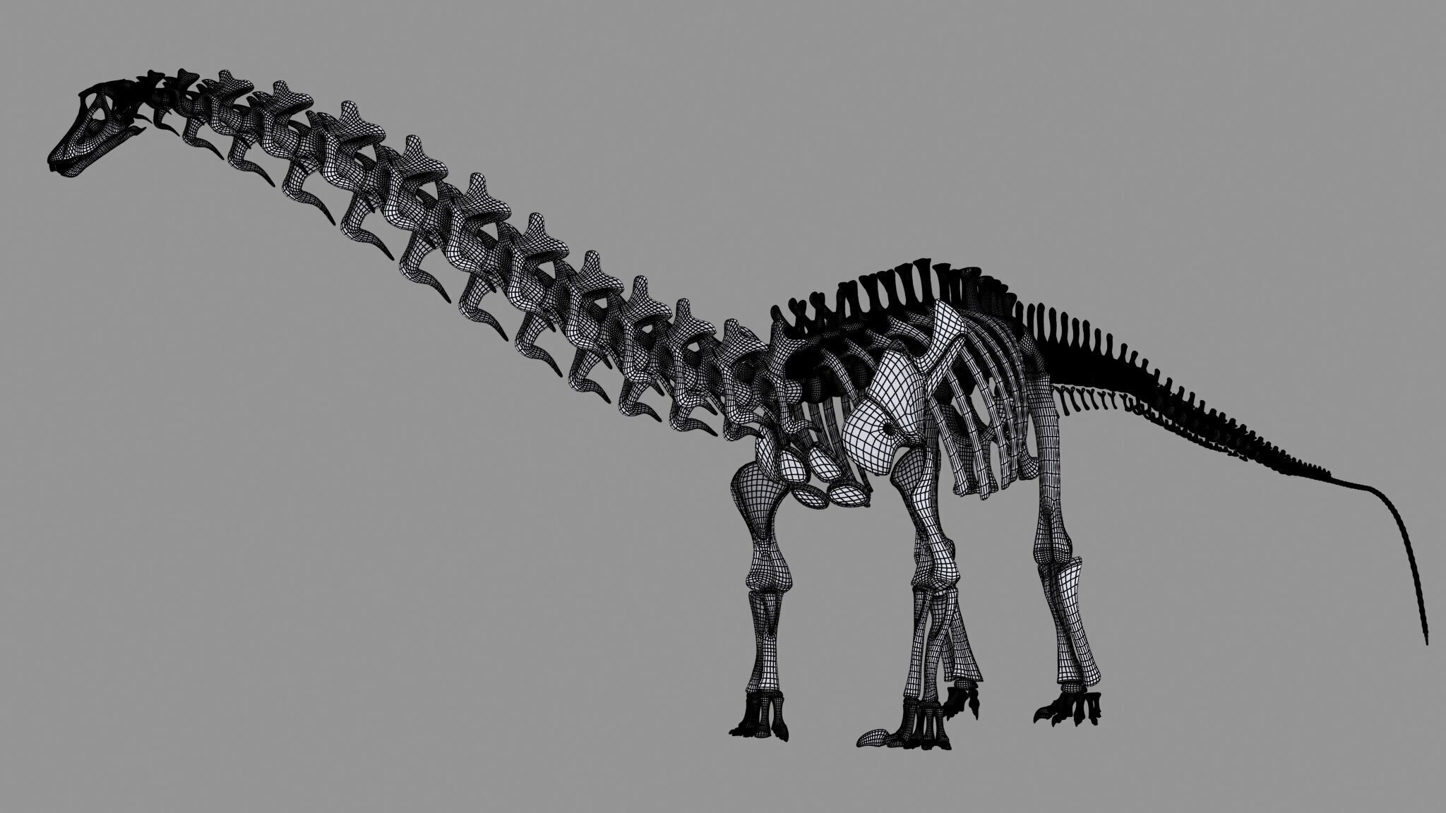 20 in1 Dino skeleton Collection model 3D model_133
