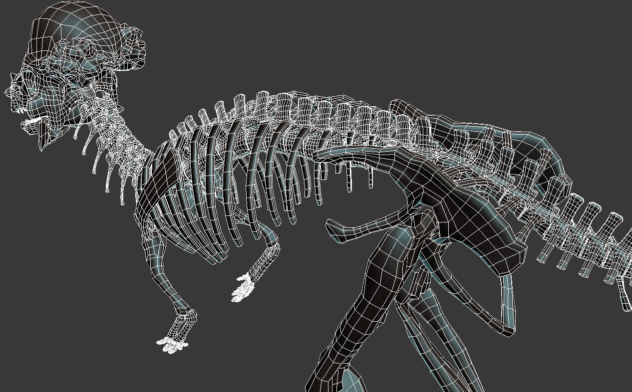 20 in1 Dino skeleton Collection model 3D model_75