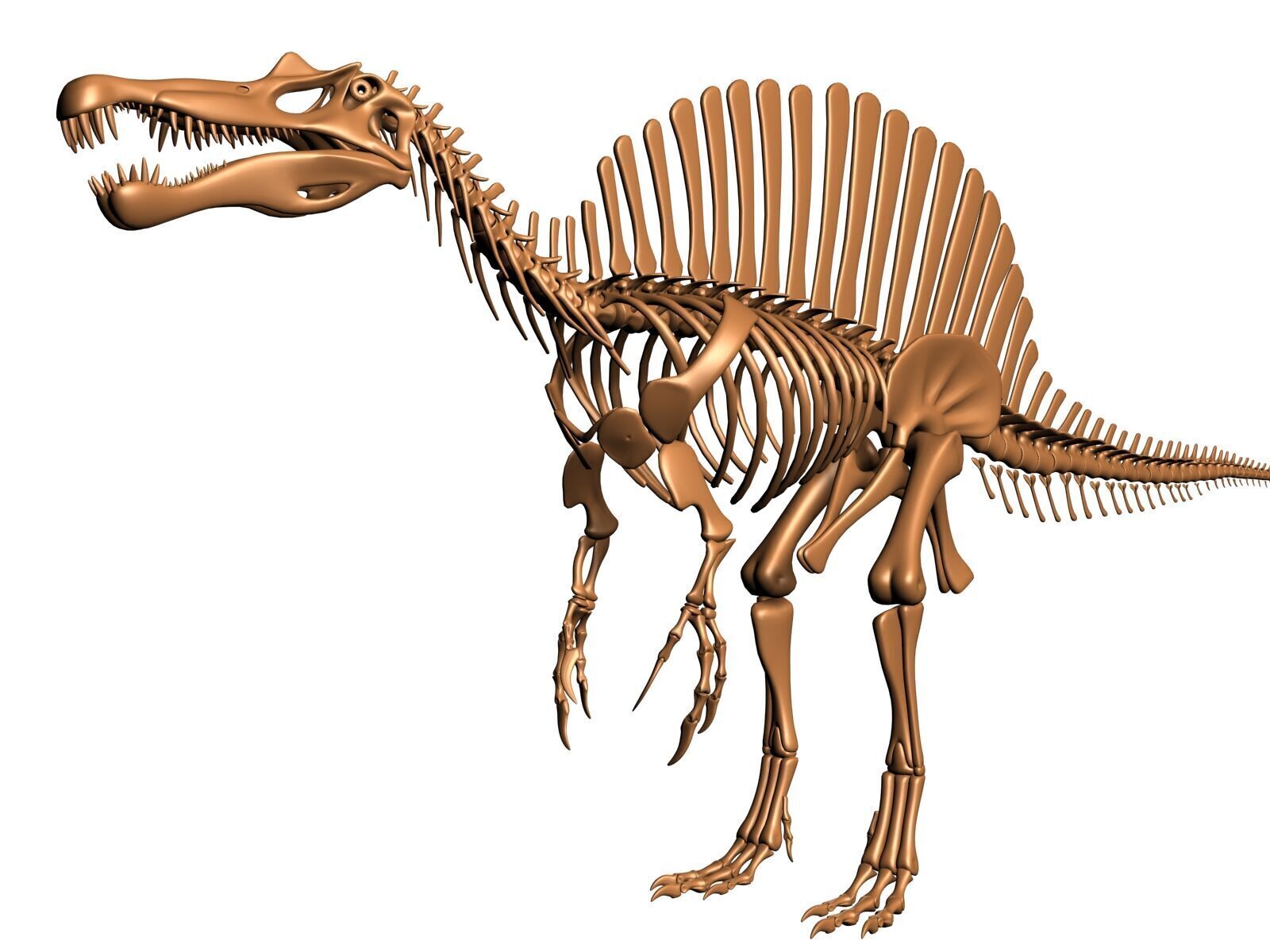 20 in1 Dino skeleton Collection model 3D model_53