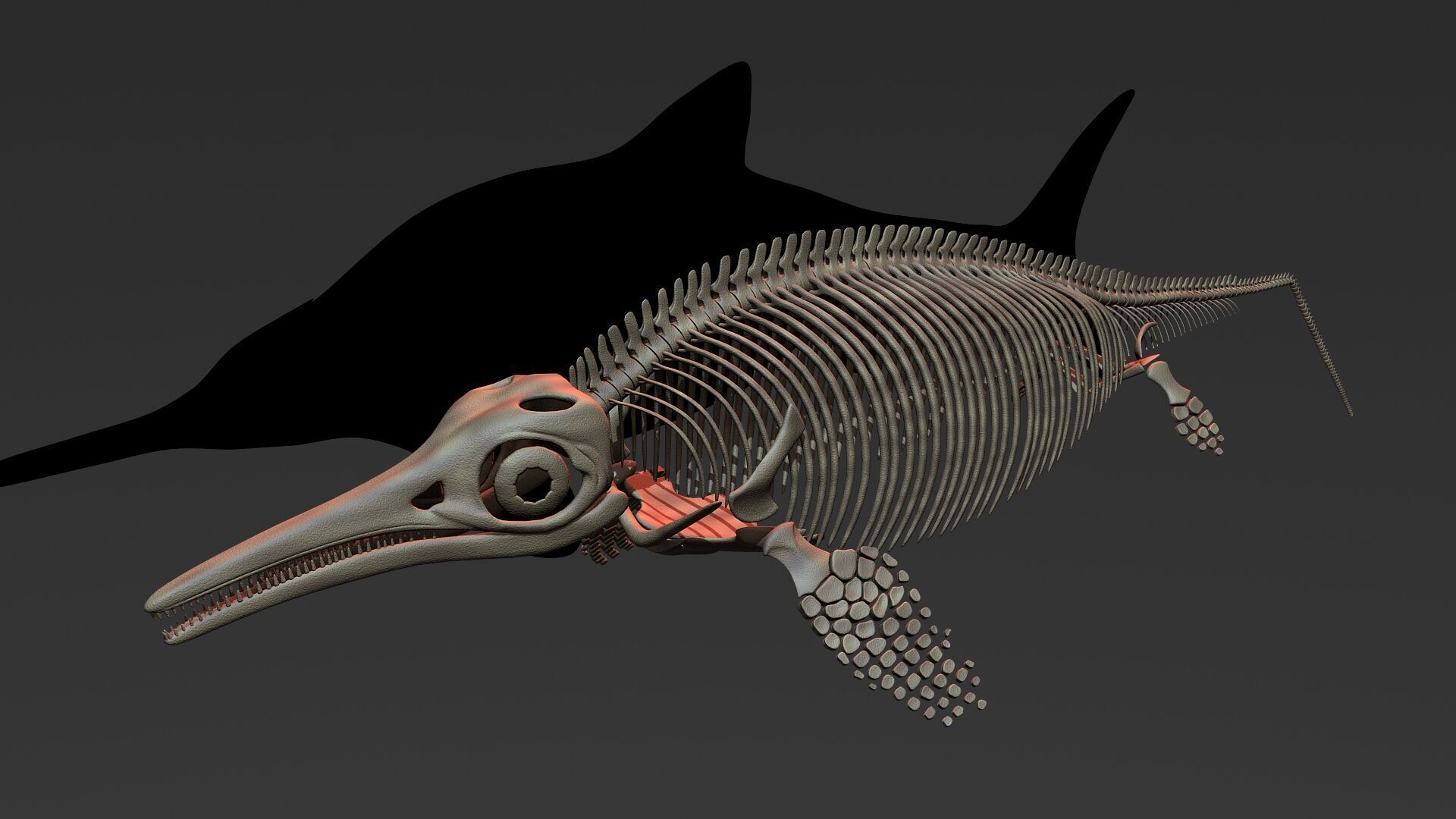 20 in1 Dino skeleton Collection model 3D model_76