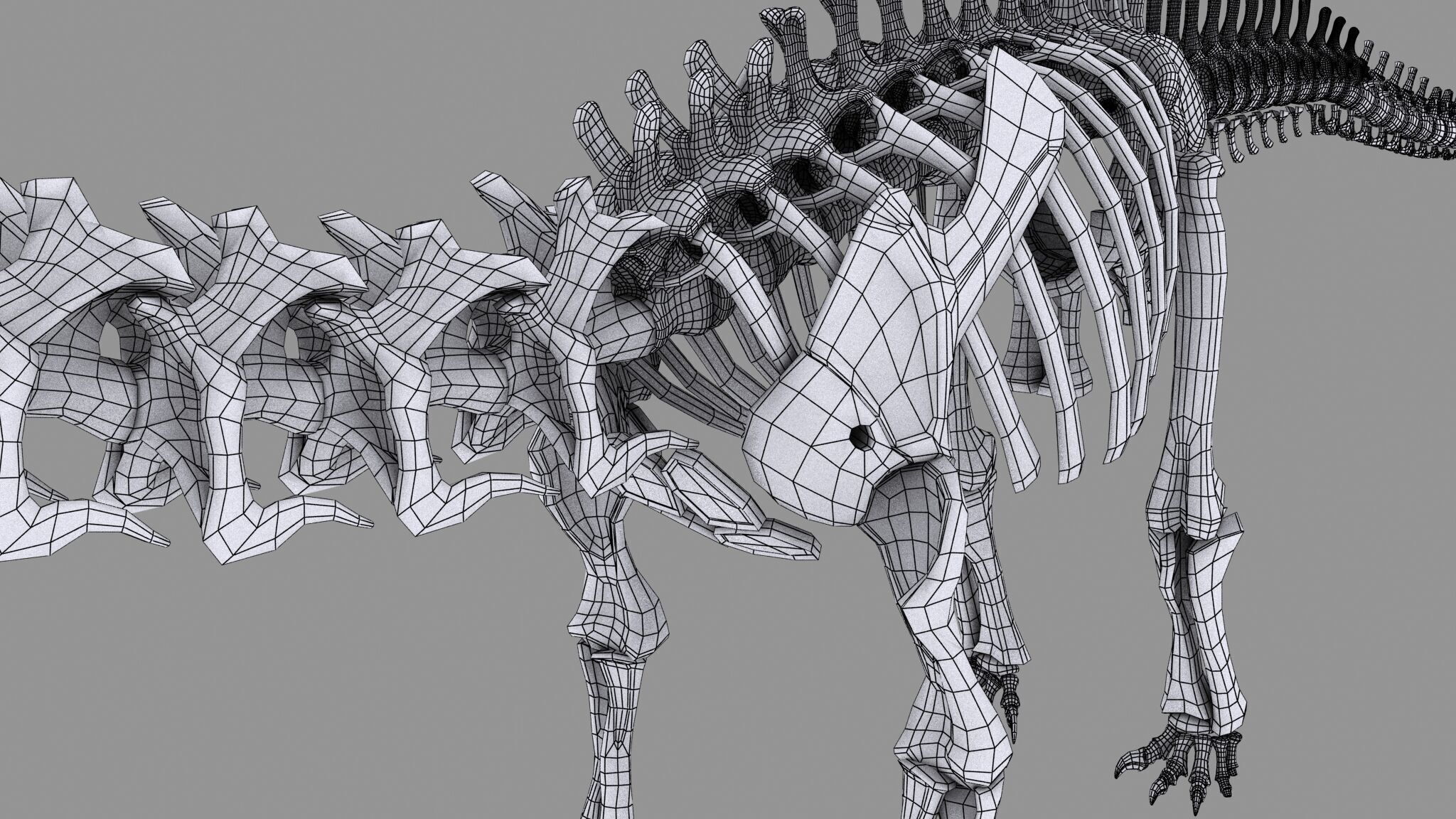 20 in1 Dino skeleton Collection model 3D model_131