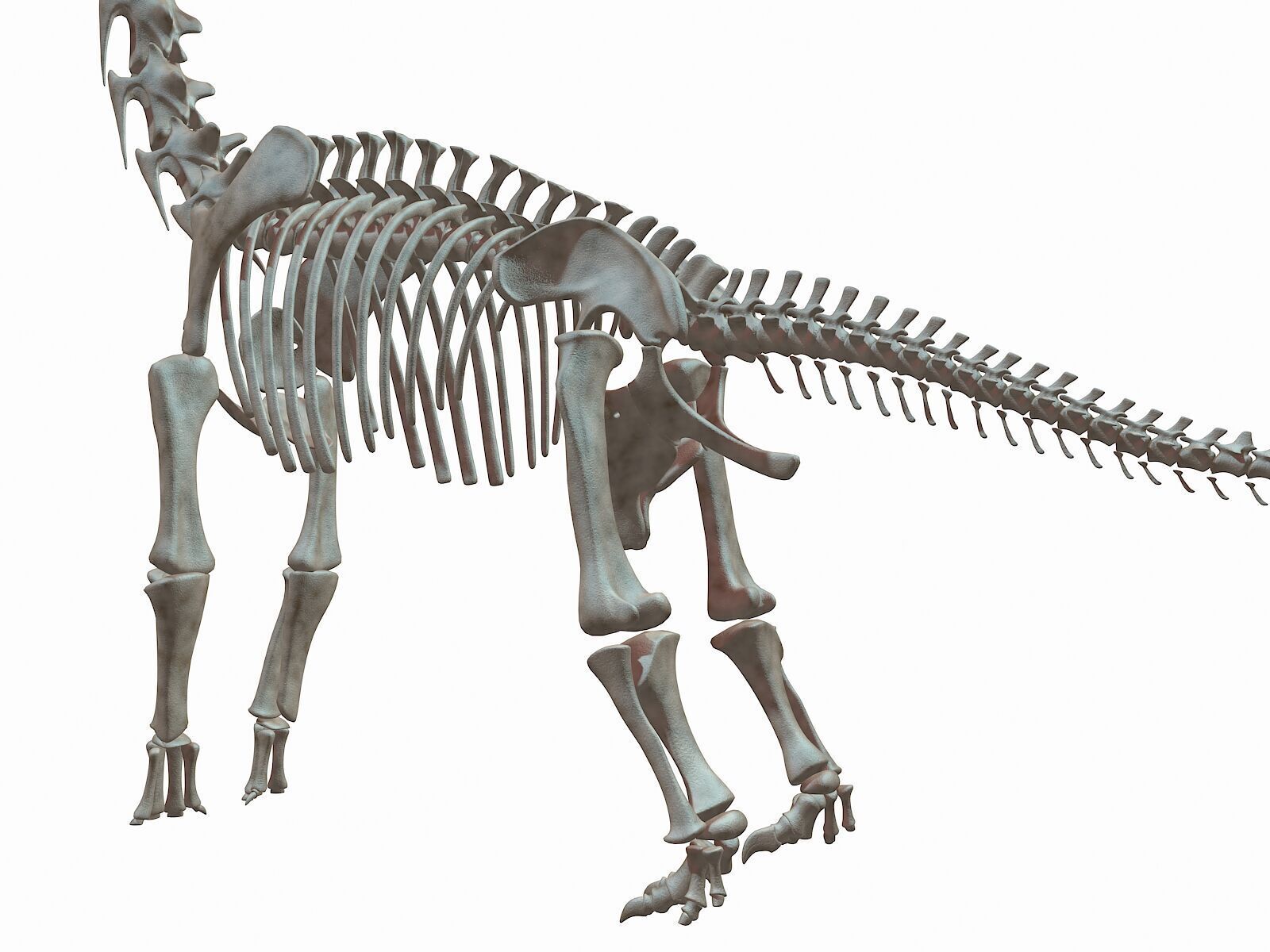 20 in1 Dino skeleton Collection model 3D model_47