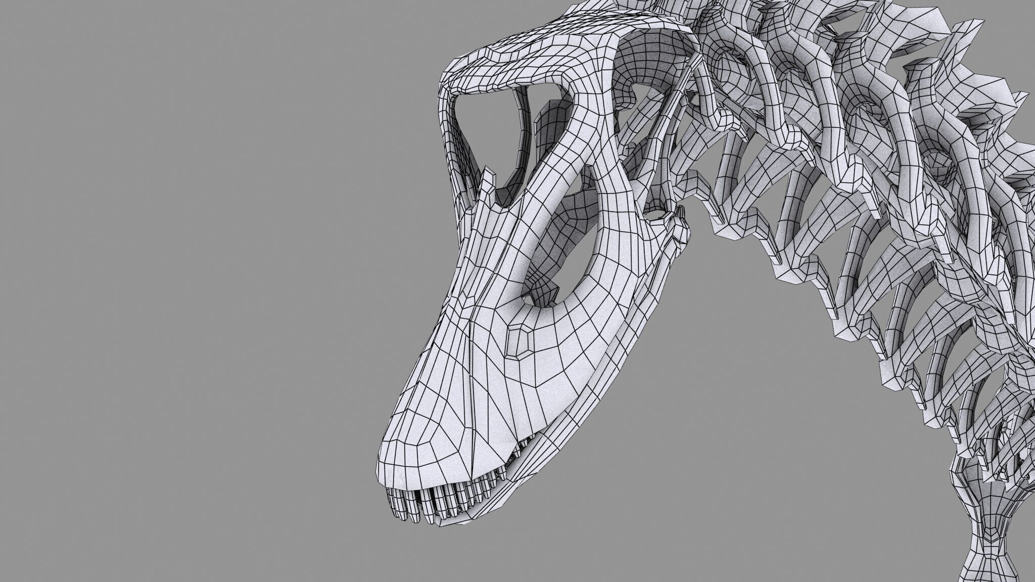 20 in1 Dino skeleton Collection model 3D model_123