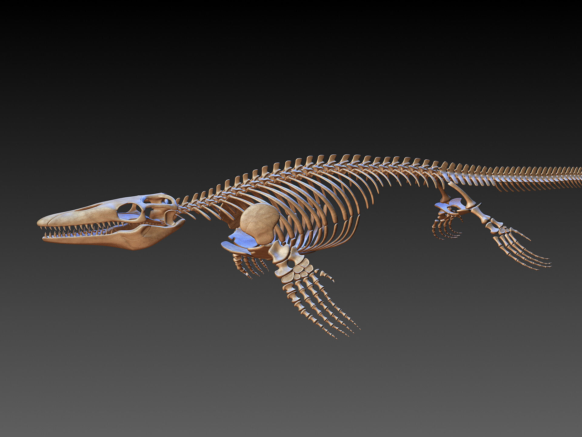 20 in1 Dino skeleton Collection model 3D model_20