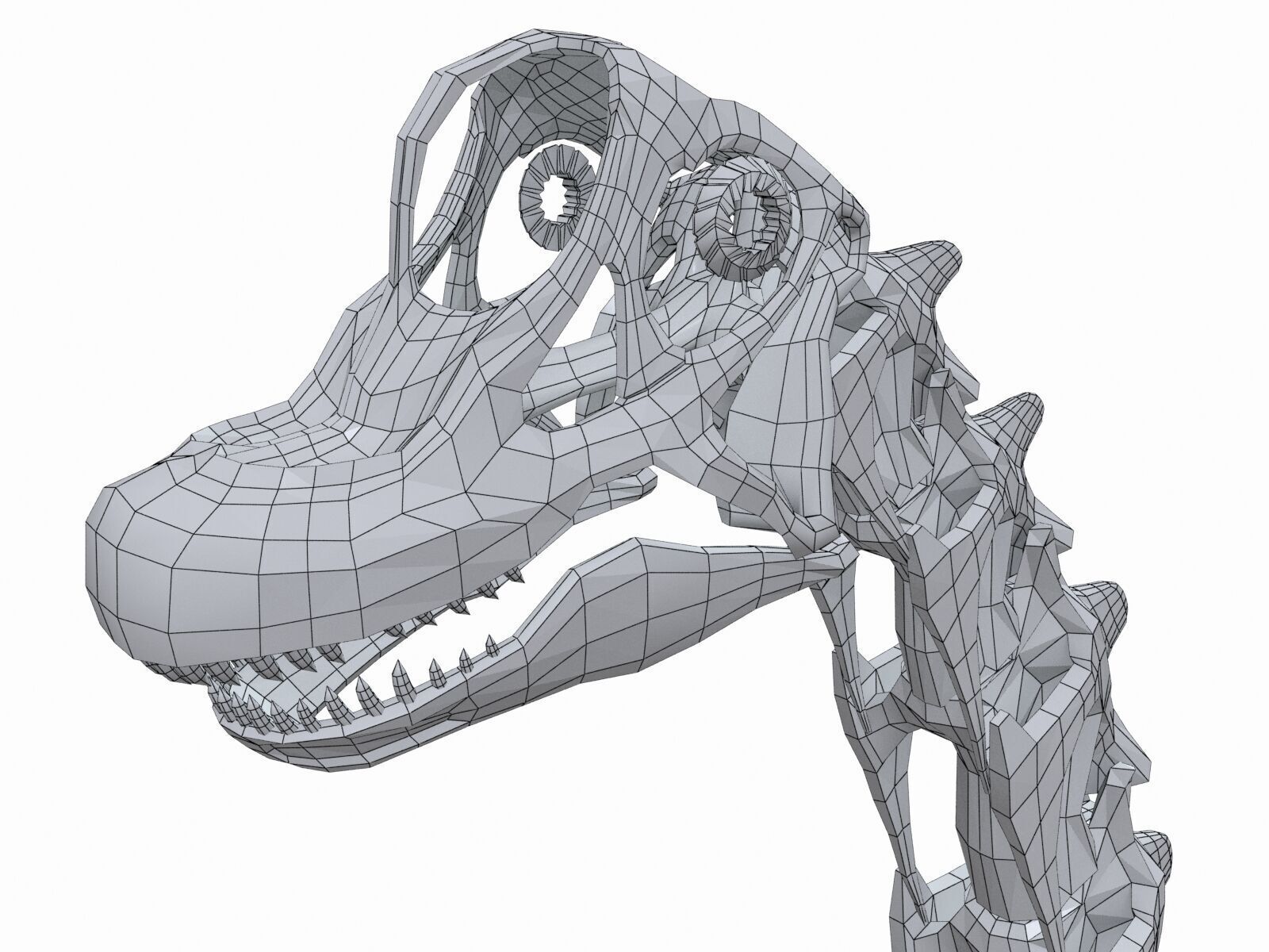 20 in1 Dino skeleton Collection model 3D model_42