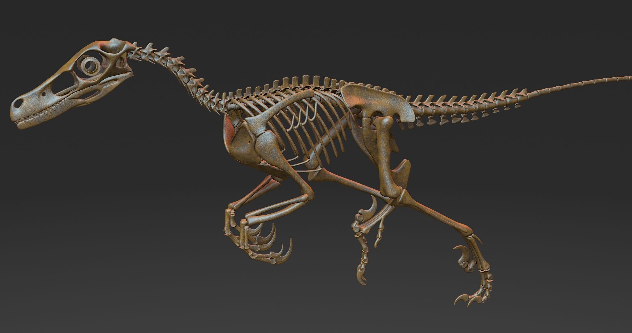 20 in1 Dino skeleton Collection model 3D model_64