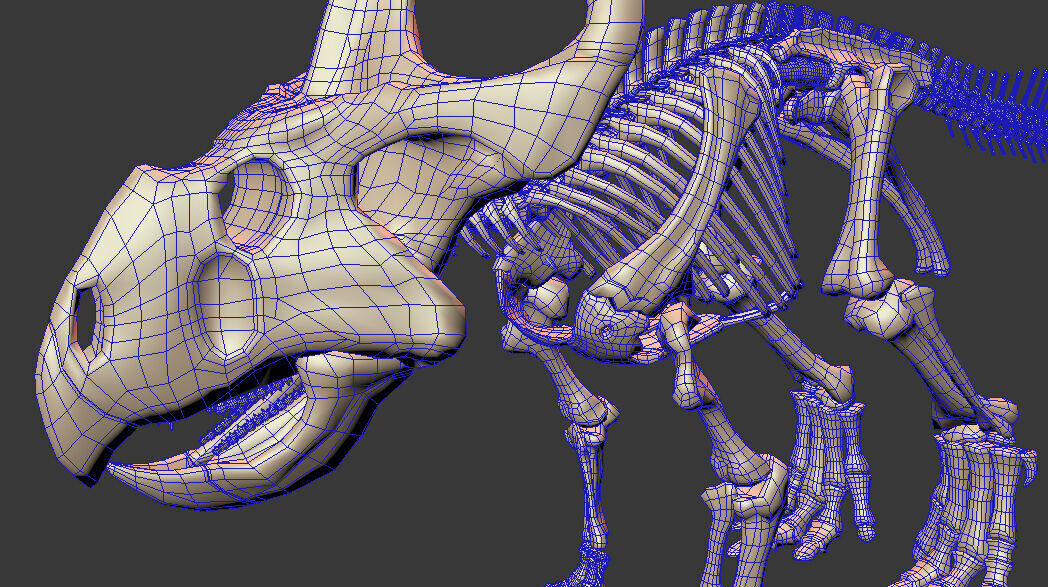 20 in1 Dino skeleton Collection model 3D model_138